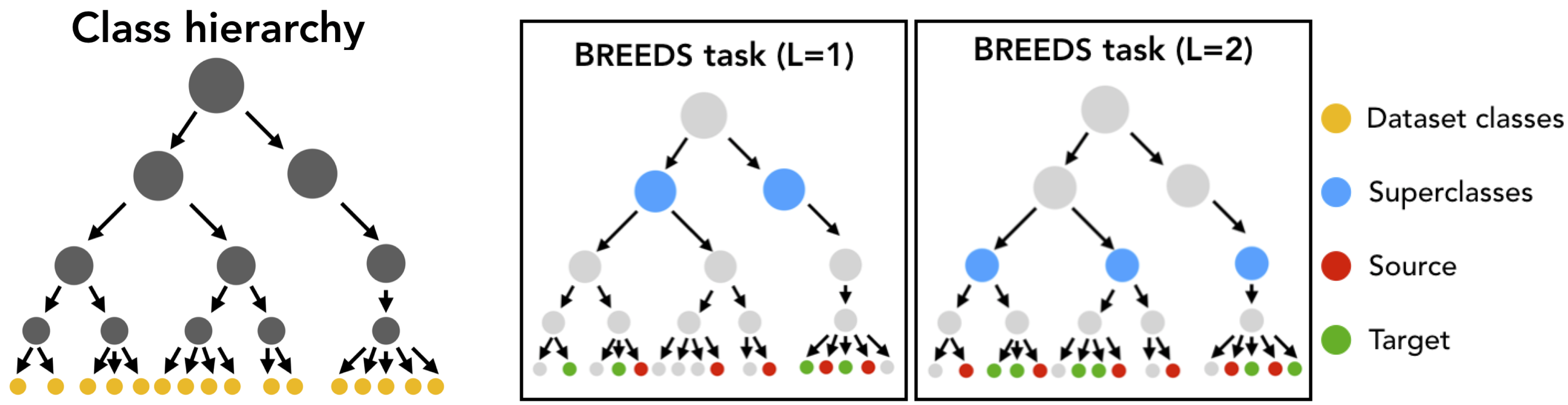 Illustration of the BREEDS dataset creation pipeline.